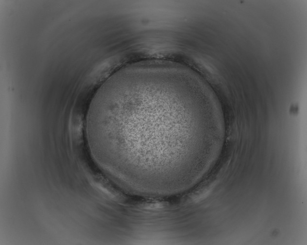 X0000092300646200709281327