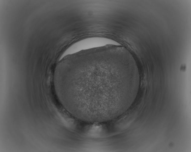 X0000092300647200709281327