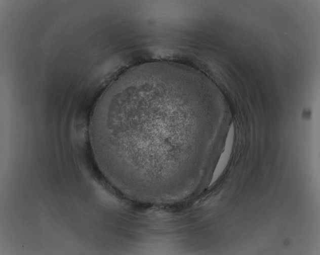 X0000092300648200709281327