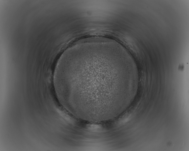 X0000092300649200709281327