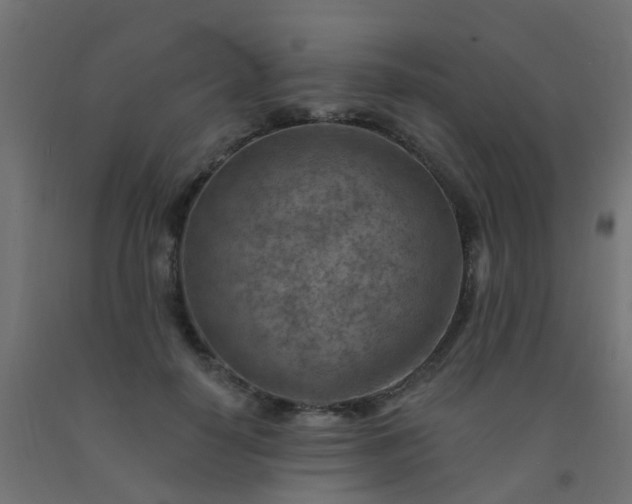 X0000092300650200709281327