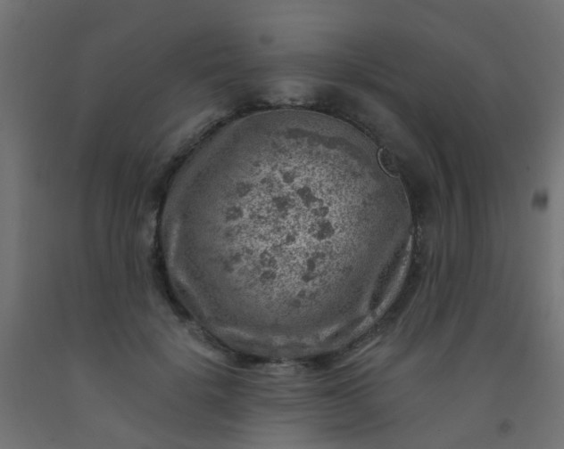 X0000092300652200709281327