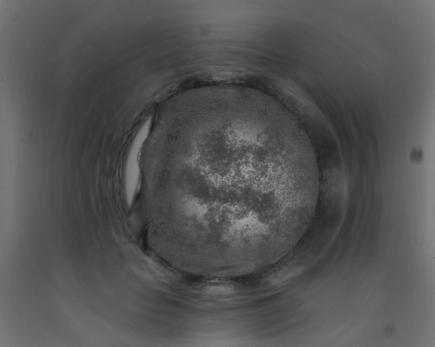 X0000092300653200709281327