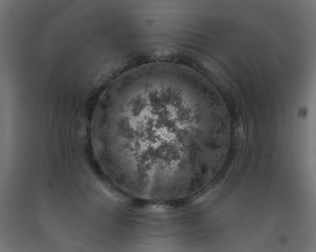 X0000092300654200709281327