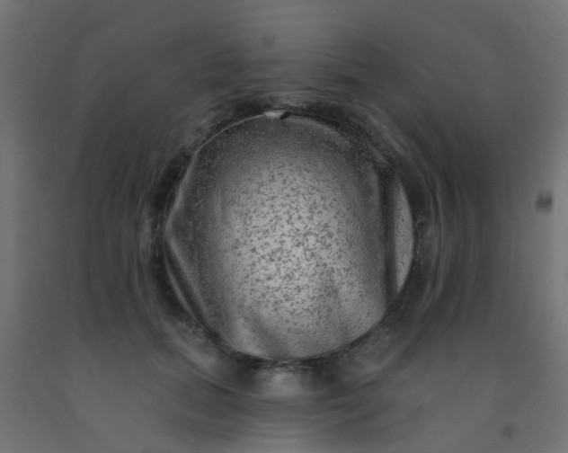 X0000092300655200709281327