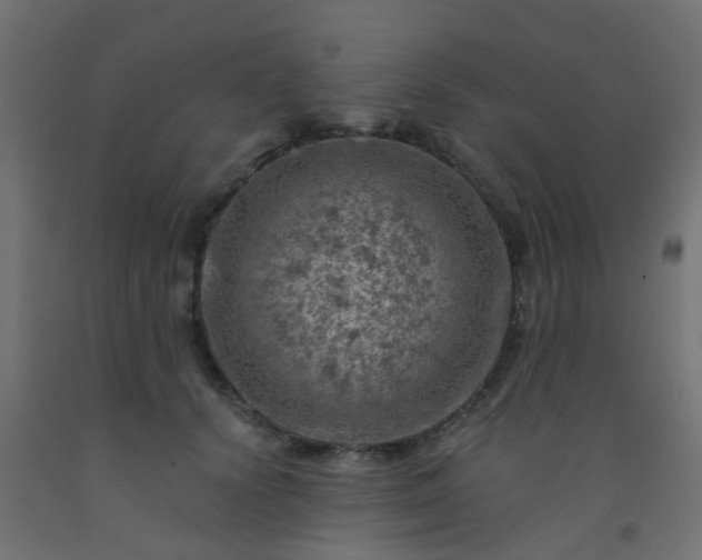 X0000092300656200709281327