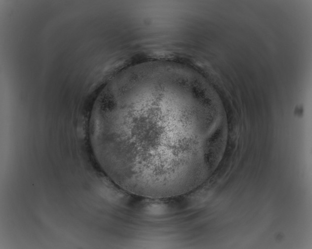 X0000092300658200709281327