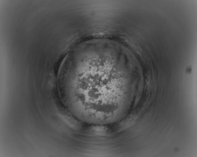 X0000092300659200709281327