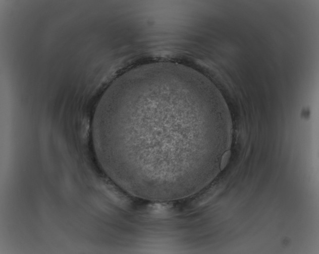 X0000092300660200709281327