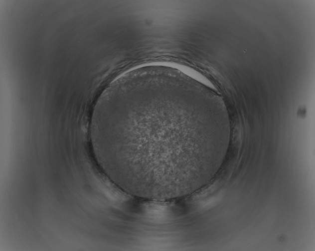 X0000092300661200709281327