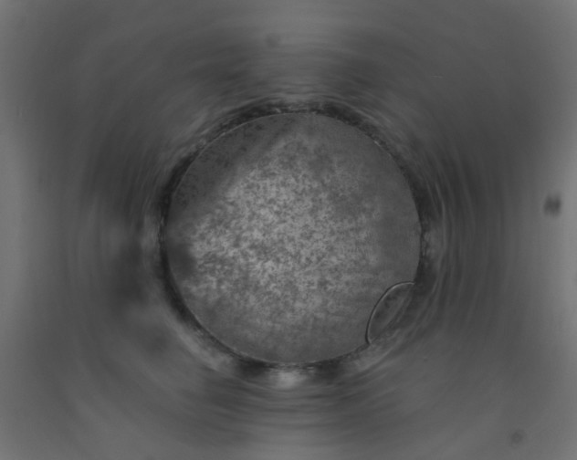 X0000092300662200709281327