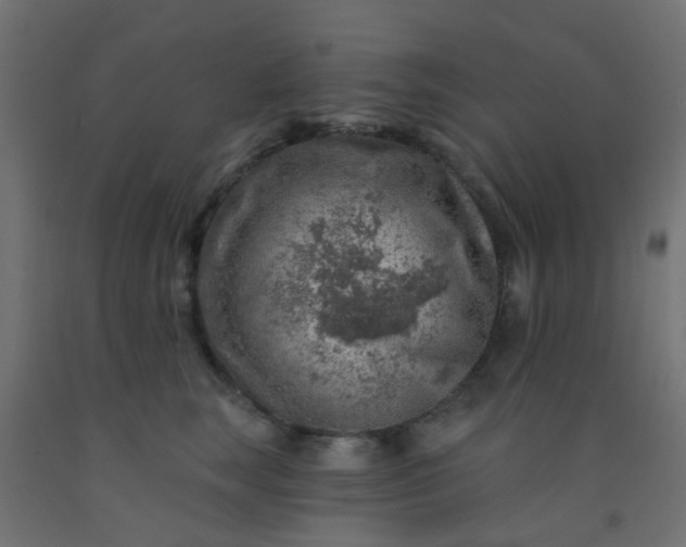 X0000092300663200709281327