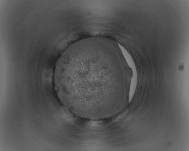 X0000092300664200709281327