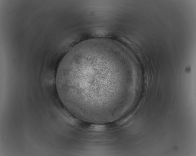 X0000092300665200709281327