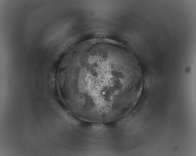 X0000092300666200709281327