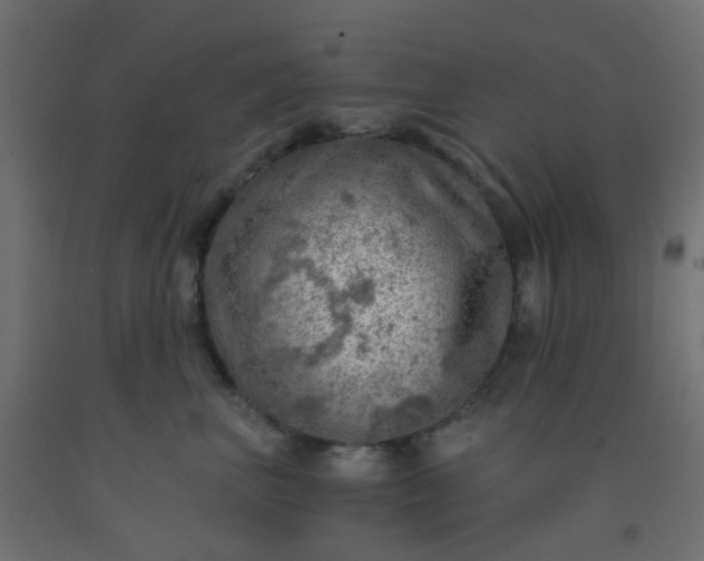 X0000092300667200709281327