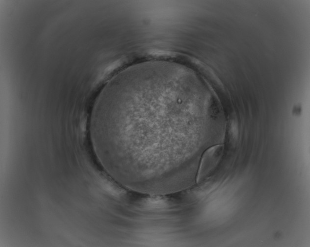 X0000092300668200709281327