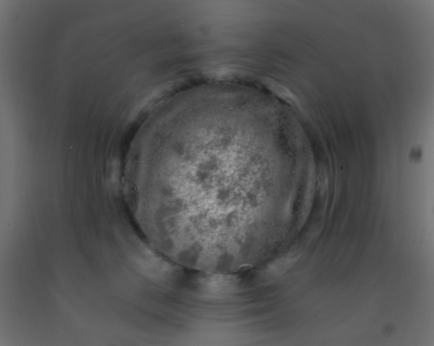 X0000092300670200709281327