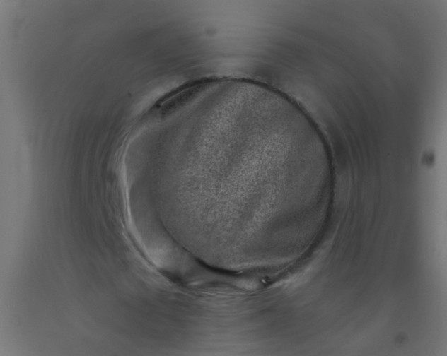 X0000092300673200709281327