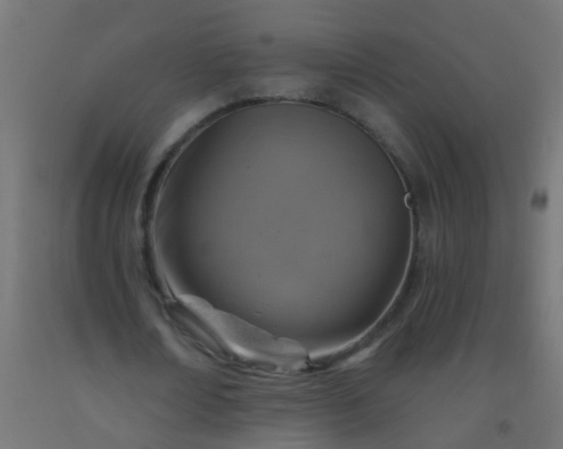 X0000092300674200709281326