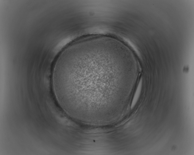 X0000092300675200709281326