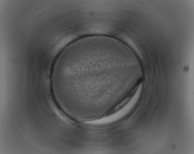 X0000092300677200709281326