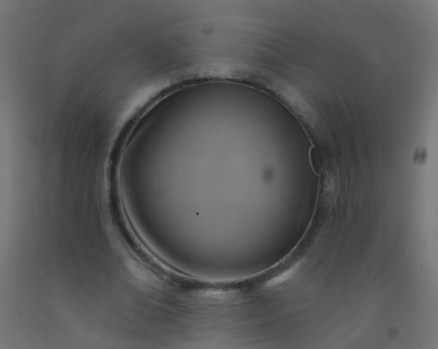 X0000092300678200709281326