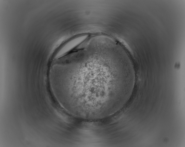 X0000092300679200709281326