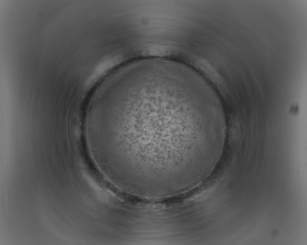 X0000092300683200709281326