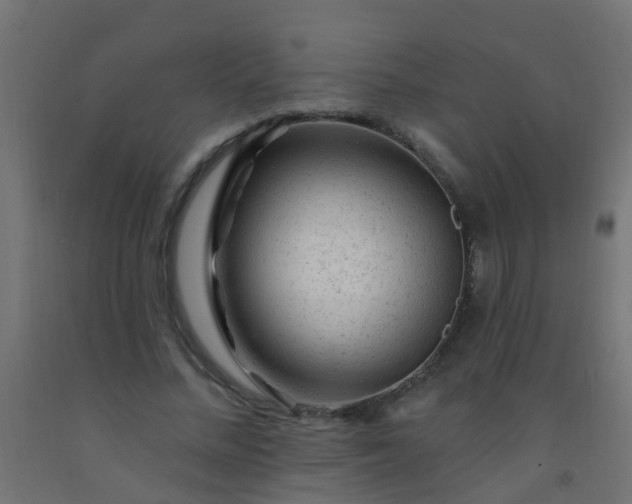 X0000092300684200709281326