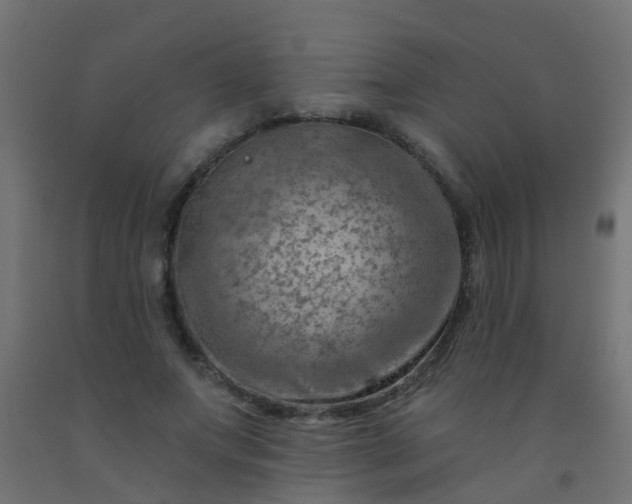 X0000092300687200709281326