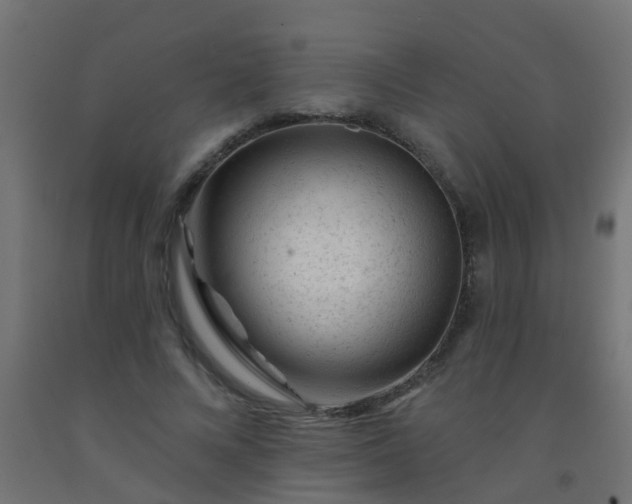 X0000092300688200709281326