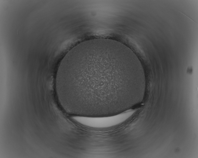 X0000092300689200709281326