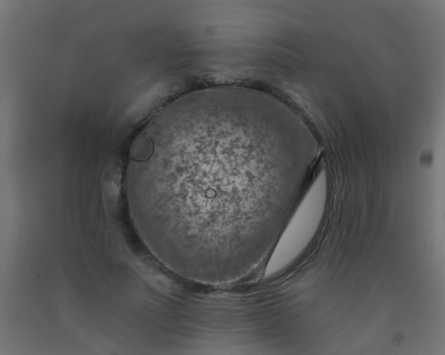 X0000092300691200709281326