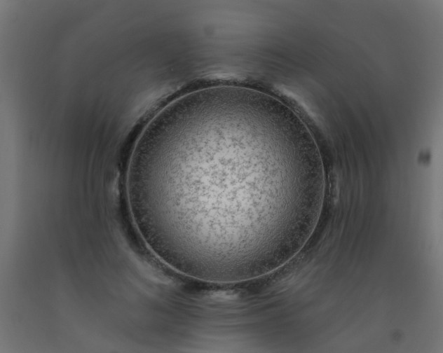 X0000092300692200709281326