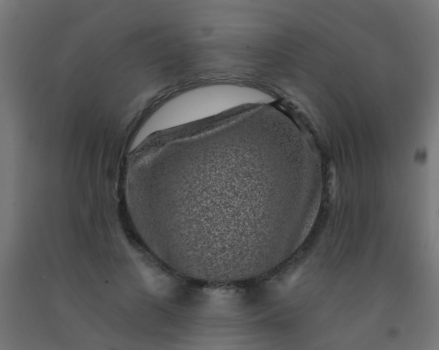 X0000092300693200709281326