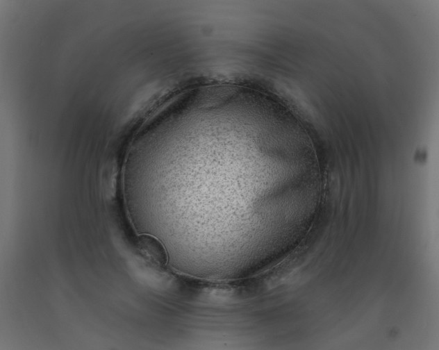 X0000092300694200709281326