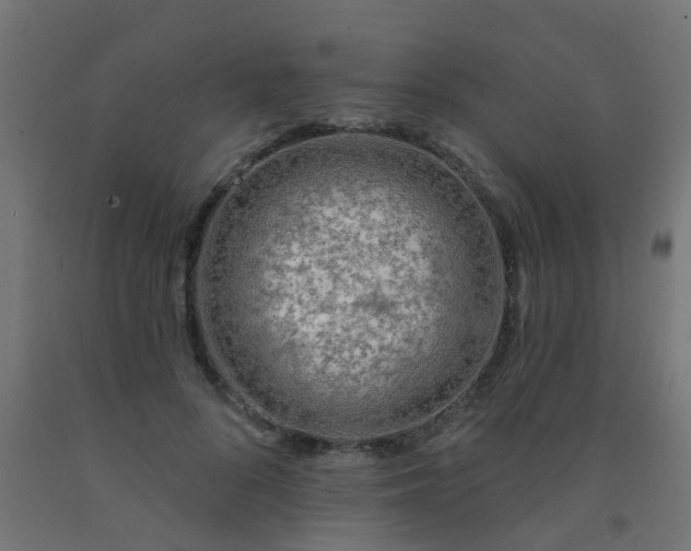 X0000092300696200709281326