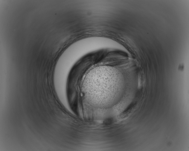 X0000092300697200709281326