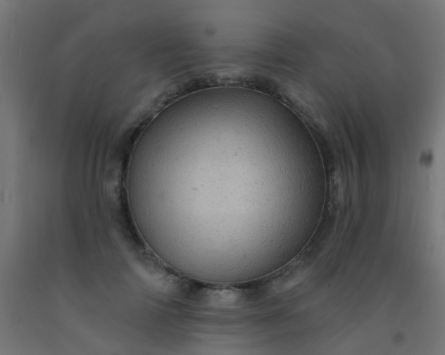 X0000092300698200709281326