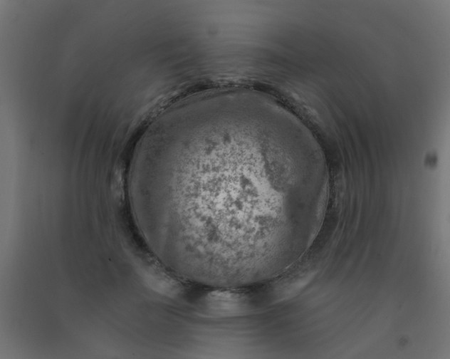 X0000092300699200709281326