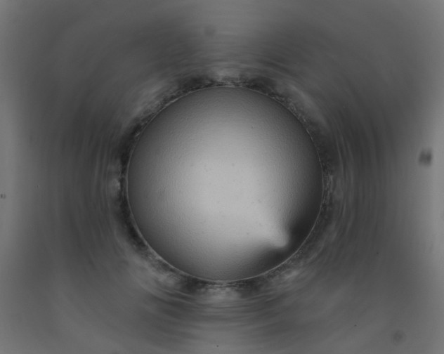 X0000092300702200709281326