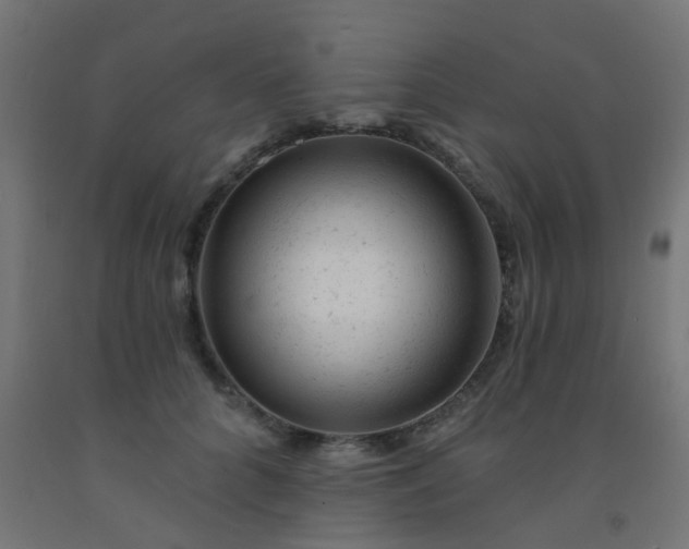 X0000092300704200709281326