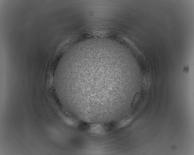 X0000092300705200709281326