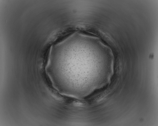 X0000092300706200709281326