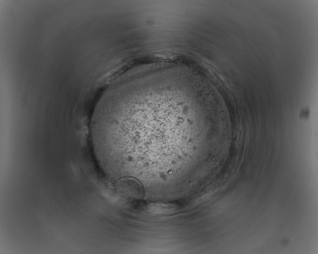 X0000092300707200709281326