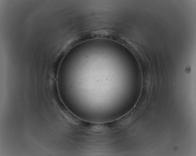 X0000092300708200709281326