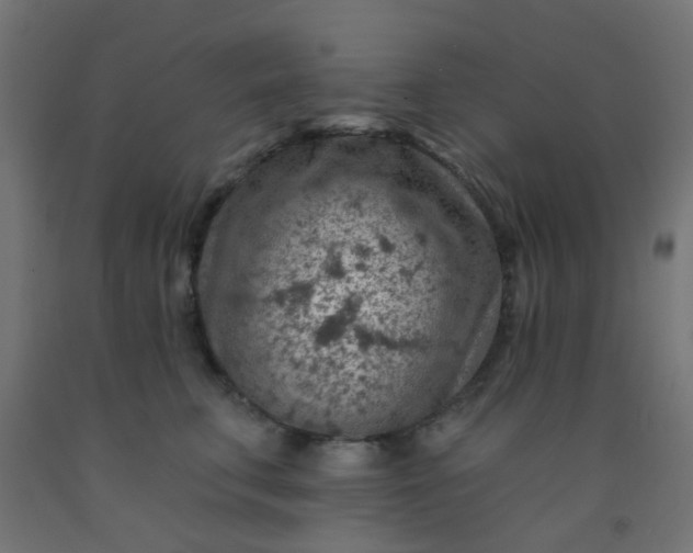 X0000092300711200709281326