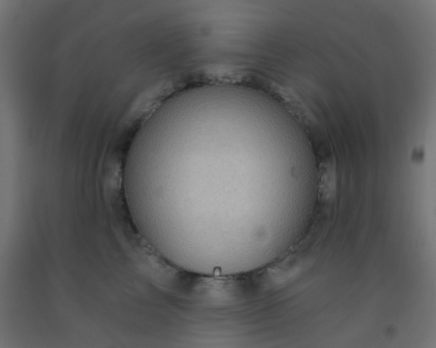 X0000092300713200709281326