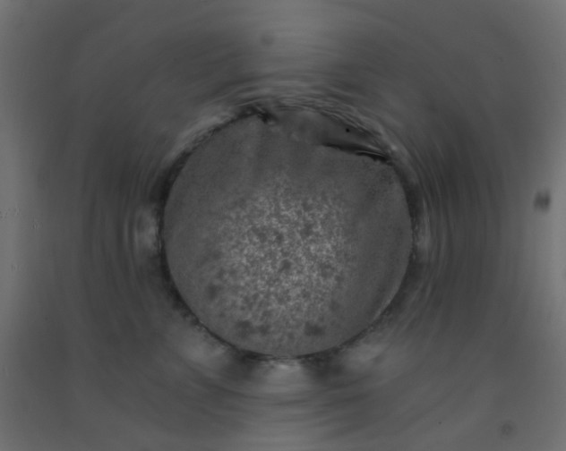 X0000092300715200709281326